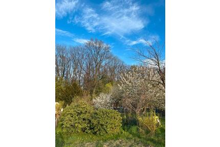 Kleingarten - 1.500,00&nbsp;EUR Kaltmiete, ca.&nbsp; 0,00&nbsp;m&sup2; in Bautzen (PLZ: 02625)