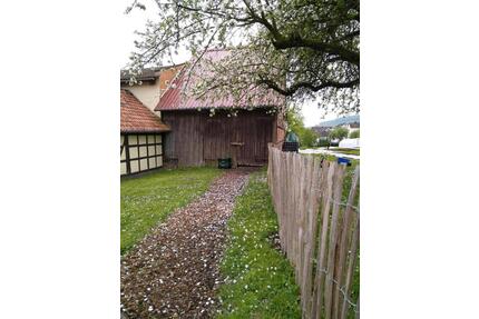 Ehemalige Gärtnerei-Fläche zu verpachten - Niedenstein