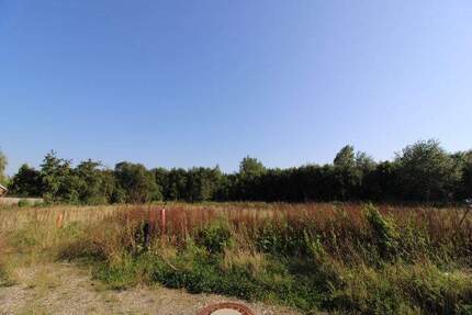 Baugrundstück mit Südausrichtung in Butjadingen-Eckwarden - Butjadingen / Eckwarden Stollhamm