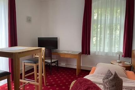 740€ warm ✔ Möbliertes Apartment 28m² ab August ✔ Dresden-Loschwitz ✔ 1 Zimmer Wohnung mieten, Stellplatz, WLAN inkl., eigene Küche, Mietwohnung möbliert, Villa Loschwitz, Elbnähe, Altbau, ruhig