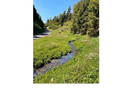 Idyllisches Freizeitgrundstück mit Alpenblick & Bachlauf – Natur - Ravensburg Eschach
