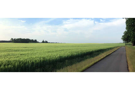 547 m² Baugrundstück für ein Einfamilienhaus (Grundstück 07) - Wiesenburg/Mark