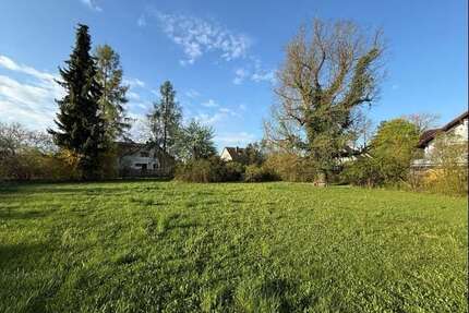 Grundstück zu verkaufen in Inning 2.700.000,00 € 2494 m²
