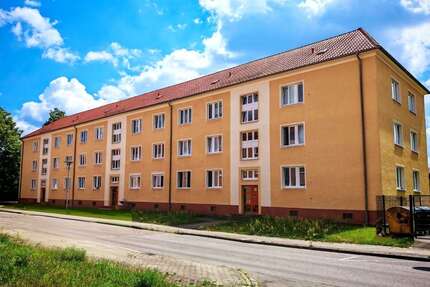 Wohnung zum Mieten in Hoyerswerda 254,00 € 50.8 m²
