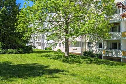 Wohnung zum Mieten in Freiberg 359,00 € 57 m²