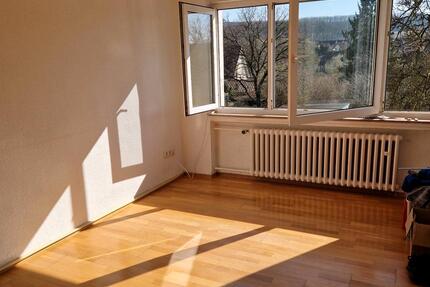 Wohnung im Extertal - 350,00&nbsp;EUR Kaltmiete, ca.&nbsp; 57,00&nbsp;m&sup2; in Extertal (PLZ: 32699)