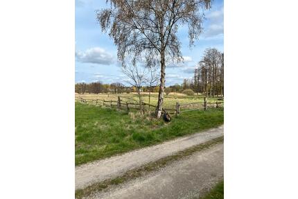 Weidefläche in Vöhrum, Peine - 40,00&nbsp;EUR Kaltmiete, ca.&nbsp; 0,00&nbsp;m&sup2; in Peine (PLZ: 31228) Peine Kernstadt