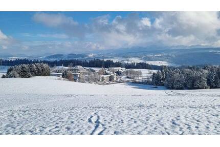 Provisionsfrei: Sonniges 1 Zi. Appartement incl. sep. 2. Zimmer, Hallenbad, Sauna & Alpensicht - Scheidegg