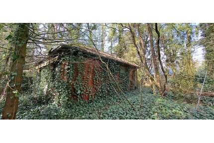 Haus zum Kaufen in Vierden 75.000,00 € 40 m²