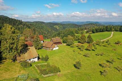 Haus zum Kaufen in Schiltach 3.450.000,00 € 100 m²