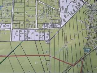 Grundstück in Borkheide 20.000,00 € 18260 m²