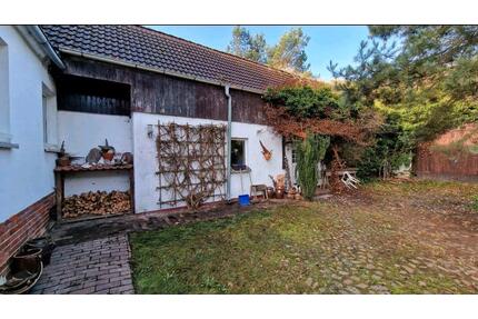 Grundstück Einfamilienhaus Scheune Garten - Wittenberg Lutherstadt Reinsdorf
