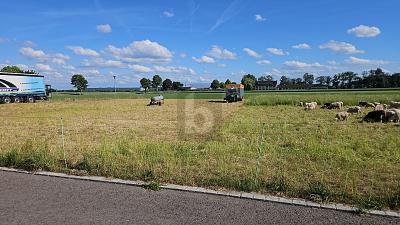 ERSCHLOSSEN & FAMILIENFREUNDLICH GELEGEN - Berkheim