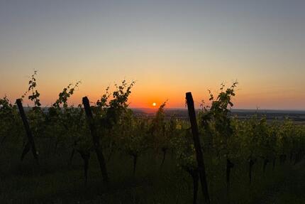 Ferienwohnung für bis zu 4 Personen und 1Hund - Kitzingen