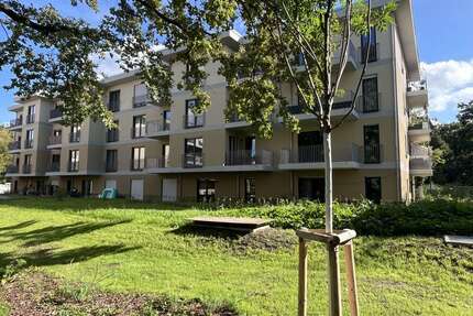 Wohnung zum Mieten in Berlin 1.250,00 € 49.73 m²