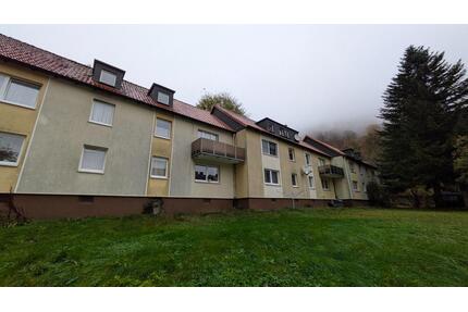 *reserviert*Charmante möblierte 3-Raum-Wohnung im Naherholungsort Bad Grund – ideal für junge Familien - Bad Grund (Harz)