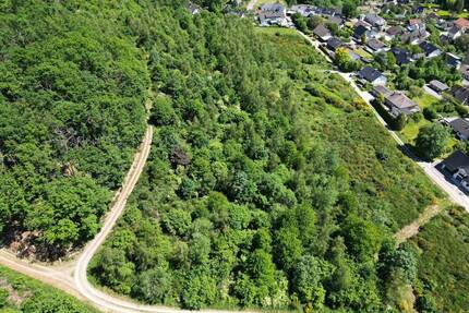 Wald bei Reichshof-Oberagger – ca. 15.000 m² Mischwald