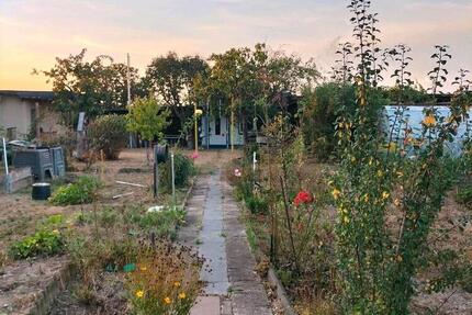Schöner Garten (580 qm) mit Gartenhaus zu pachten - Bad Düben
