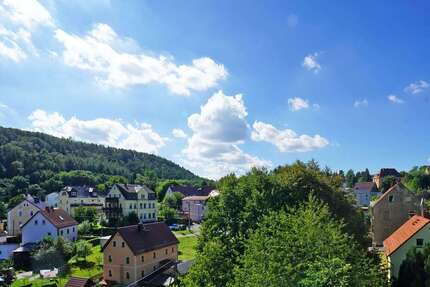 Wohnung zum Mieten in Freital Saalhausen 1.160,00 € 82.6 m² - Freital / Saalhausen