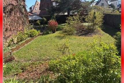 Wohnung zum Mieten in Bad Friedrichshall 650,00 € 71 m²