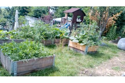 Schrebergarten mit Fernsicht und anfahrbar - Sonneberg