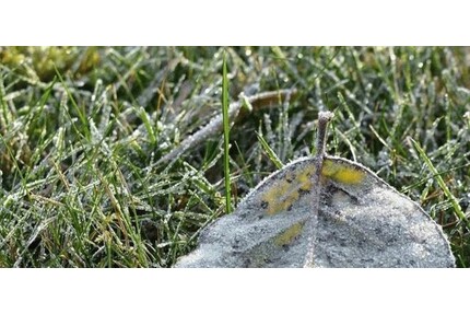 Grundstück zu verkaufen - 25.000,00&nbsp;EUR Kaufpreis, ca.&nbsp; 800,00&nbsp;m&sup2; in Heringen / Werra (PLZ: 36266)