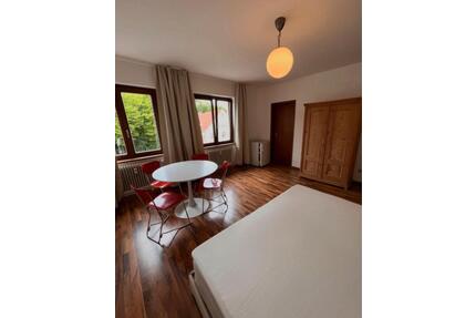 FOR RENT 1 Bedroom apartment starting June - Tübingen Schönblick / Winkelwiese