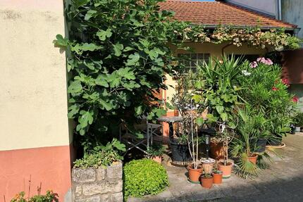 Ab auf's Land - 449.000,00&nbsp;EUR Kaufpreis, ca.&nbsp; 142,00&nbsp;m&sup2; in Bechtolsheim (PLZ: 55234)