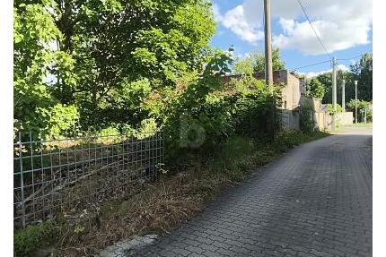 GRÜN, RUHIG UND IDYLLISCH - MIT ALTBESTAND - Schönwölkau