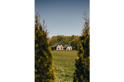 Ruhe pur Ferienhaus polnische Ostsee Hunde willkommen - Leipzig