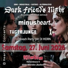 DARK FRIENDS NIGHT