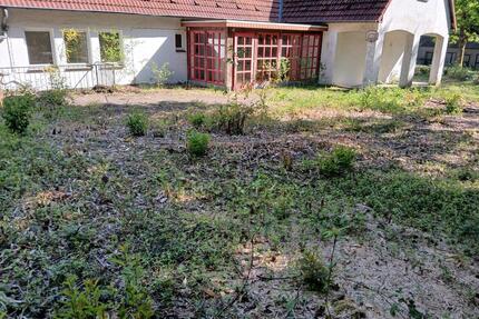 Gartengrundstück Freizeitgrundstück Waldgrundstück Laube Hütte - Bielefeld Sennestadt