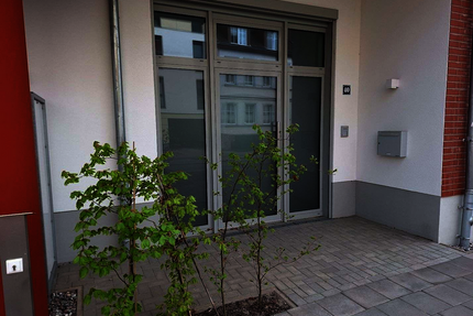Wohnung zum Kaufen in Greifswald 395.000,00 € 103.2 m²