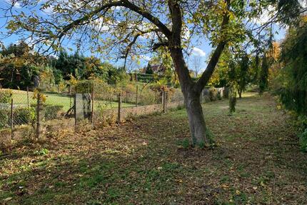 Idyllisches Freizeitgrundstück Pachtgrundstück - Schwanebeck - Gröningen