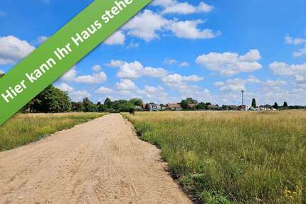 Haus zum Kaufen in Schladen 404.050,00 € 144 m²