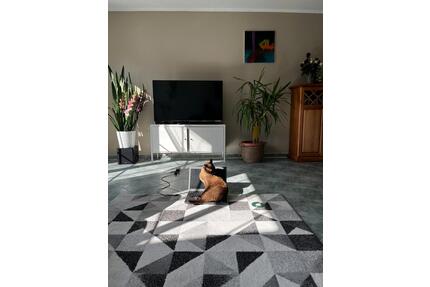 Haus zu vermieten, 4Z, 125qm, 1800qm Garten - Kall