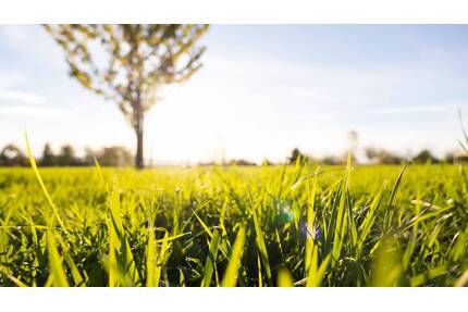 Wohnbaugrundstück in Pirna - 121.900,00&nbsp;EUR Kaufpreis, ca.&nbsp; 0,00&nbsp;m&sup2; in Pirna (PLZ: 01796)