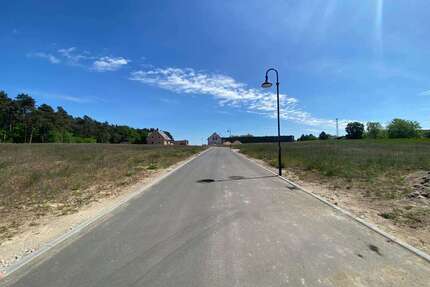 Haus zum Kaufen in Schwaan 281.345,00 € 91 m²