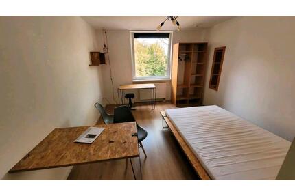Möbeliertes Apartment1-Zimmer-Wohnung Bonn-Nord, TOP Lage - Braunschweig Lehndorf-Watenbüttel