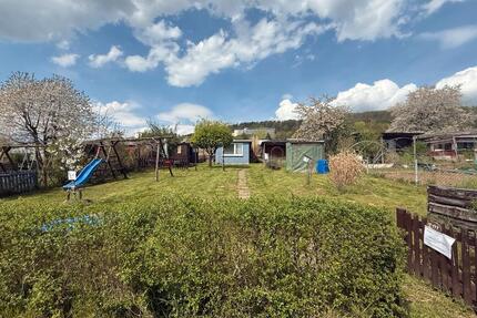 Garten Kleingarten in Höxter abzugeben