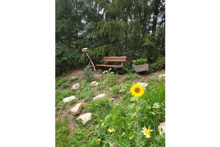 Schöner Naturgarten in Zeitz abzugeben