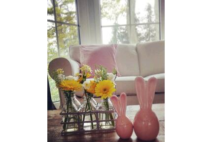 Zwischenmiete: 4 Zimmer möblierte Wohnung befristet zu vermieten - Hamburg Wandsbek