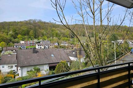 Großzügige, frisch renovierte zwei Zimmer Wohnung in Bad Ems