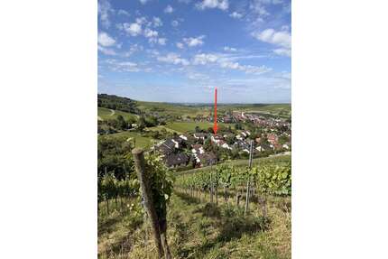 Wohnung zum Kaufen in Pfaffenweiler 699.000,00 € 140 m²