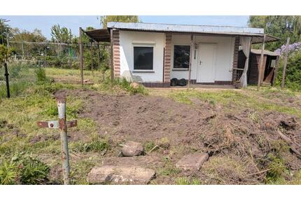 Kleingarten 280 m² mit Laube – ideal zum Neuaufbau - Halle (Saale) Frohe Zukunft