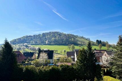 Panoramablick Einfamilienhaus 250m², 750m² Grund, provisionsfrei - Moringen