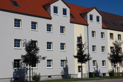 4 Raumwohnung mit Blick auf die Mulde in Dessau - Dessau-Roßlau