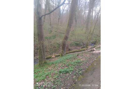 Garten zu vermieten in Altbach jährliche Pacht 150 € - Plochingen