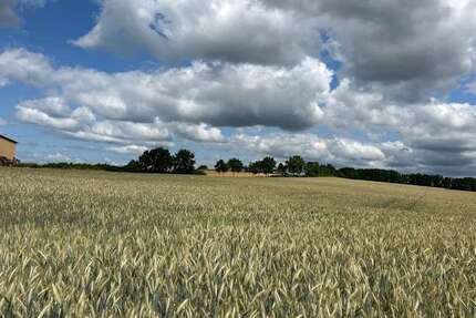 Grundstück zu verkaufen in Untersiemau Birkach am Forst 39.000,00 € 1000 m² - Untersiemau / Birkach am Forst