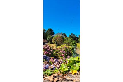 Haus freistehend Nordküste Bretagne 5 min vom Meer entfernt - Bonn Bad Godesberg